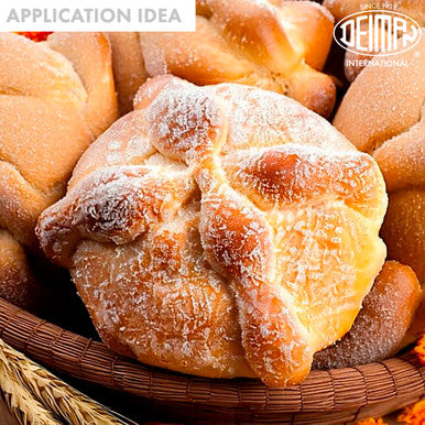 Concentrate Pan de Muerto Arte Pan application info